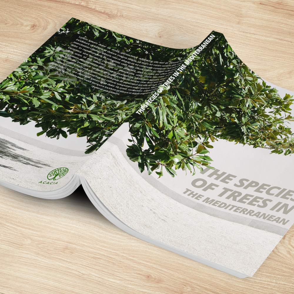 Brochures en folders - 1 - Cyaan & Co